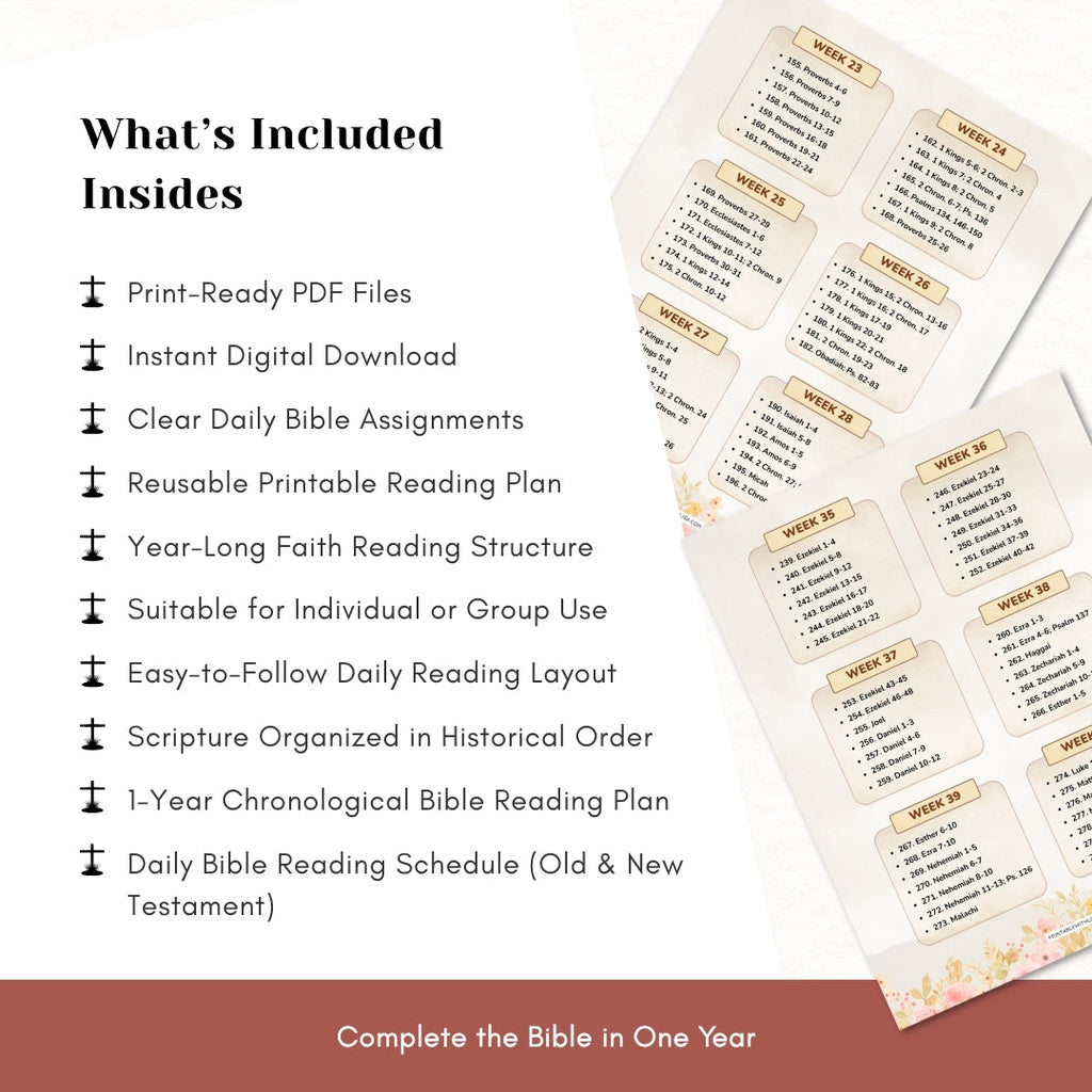 1-Year Chronological Bible Reading Plan — Read the Bible With Clarity & Consistency